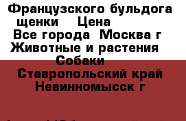 Французского бульдога щенки  › Цена ­ 35 000 - Все города, Москва г. Животные и растения » Собаки   . Ставропольский край,Невинномысск г.